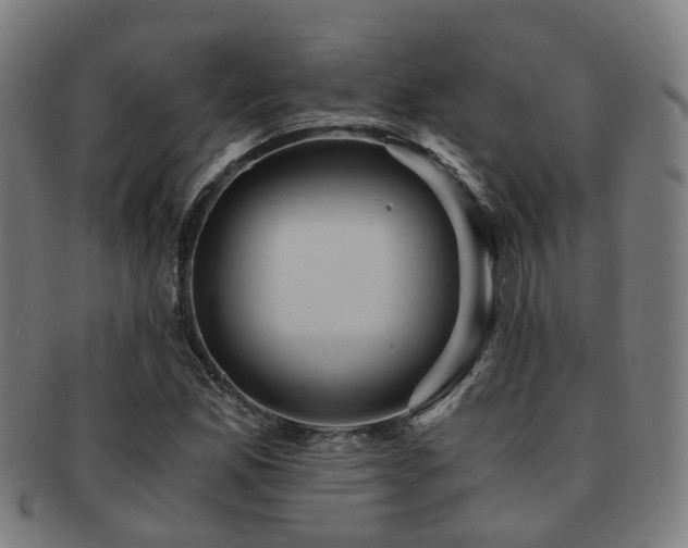 X0000091901165200709051357
