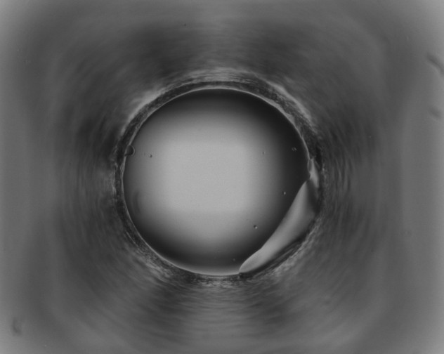 X0000091901166200709051357