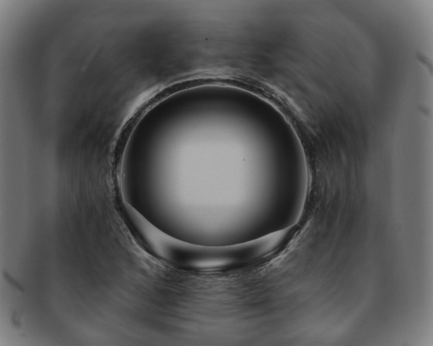 X0000091901168200709051357