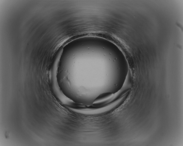 X0000091901169200709051357