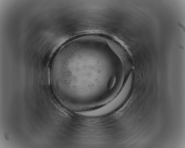 X0000091901171200709051357