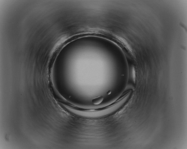 X0000091901172200709051357