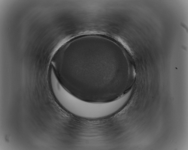 X0000091901173200709051357