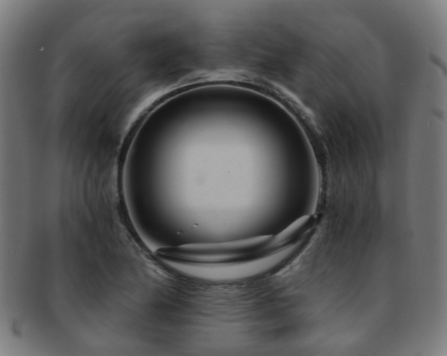 X0000091901174200709051357