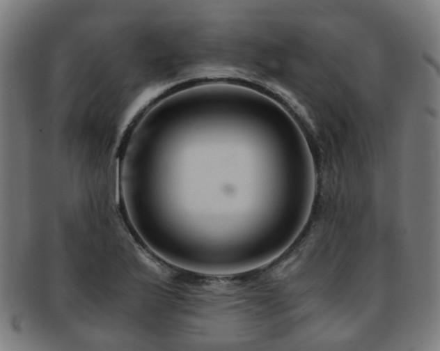 X0000091901175200709051357