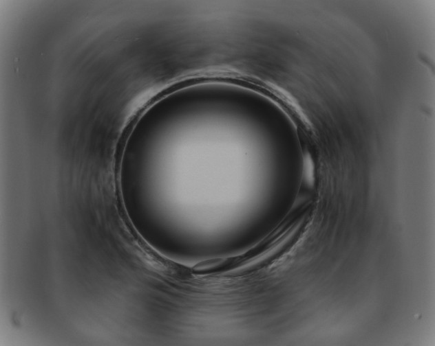 X0000091901176200709051357