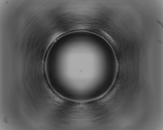 X0000091901178200709051357