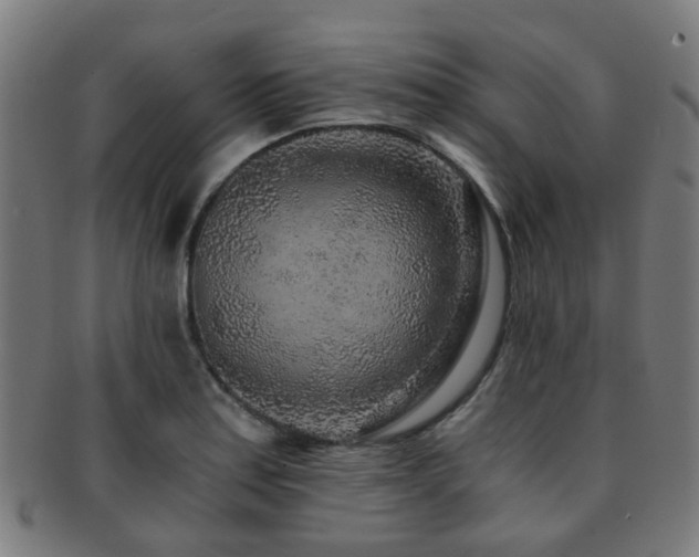 X0000091901179200709051357