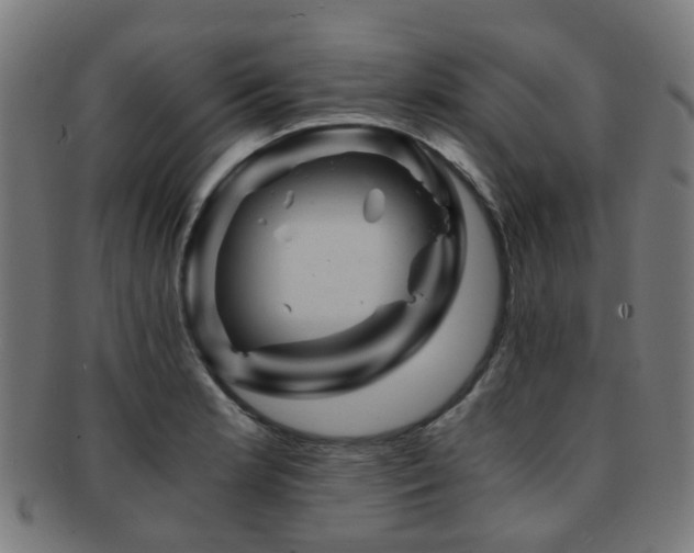 X0000091901181200709051357
