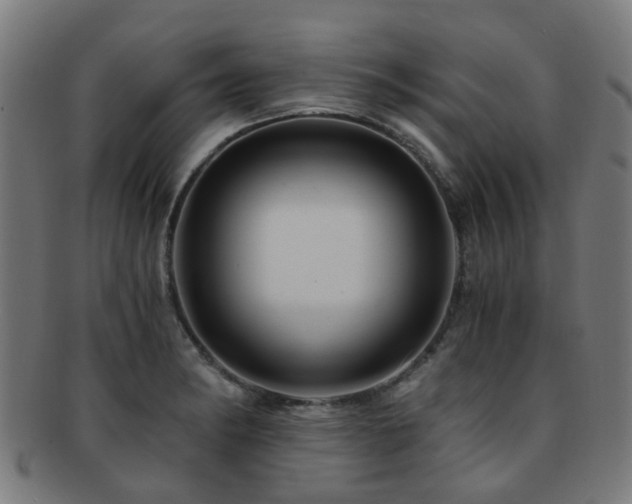 X0000091901182200709051357
