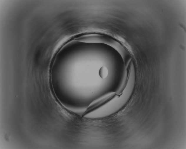 X0000091901183200709051357
