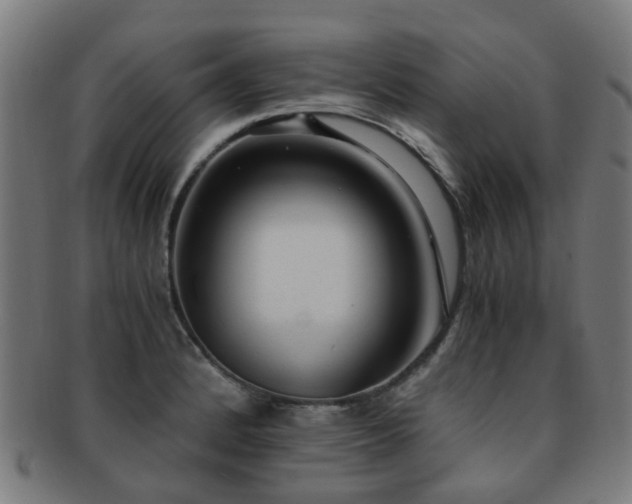 X0000091901184200709051357