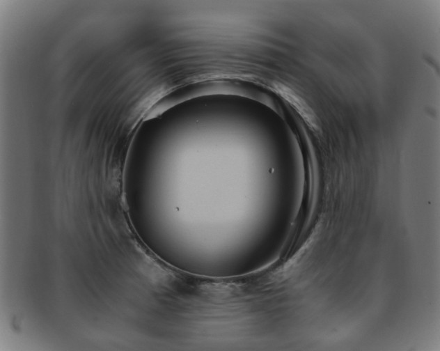 X0000091901185200709051357