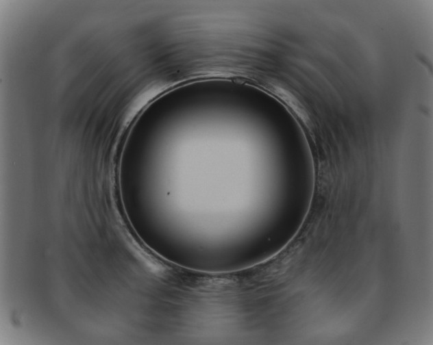 X0000091901187200709051357