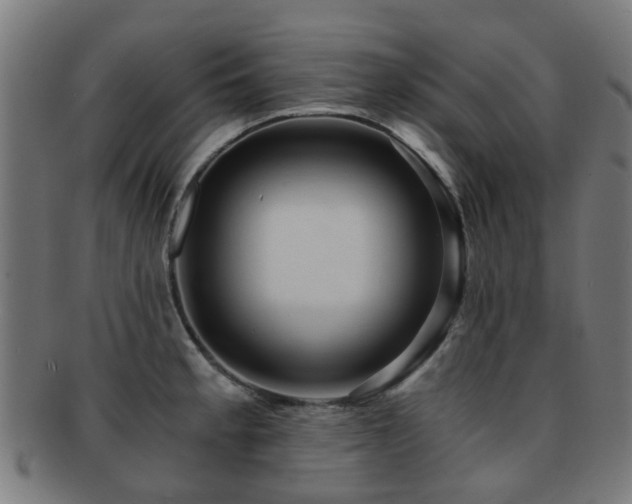 X0000091901189200709051357