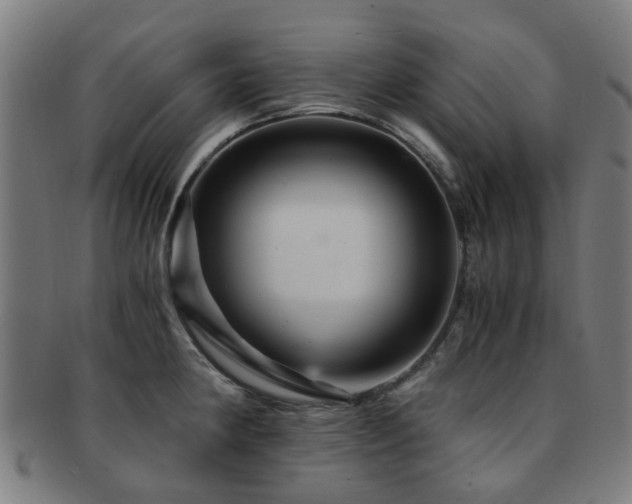 X0000091901190200709051357