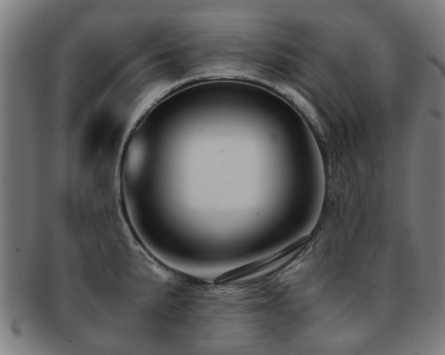 X0000091901191200709051357