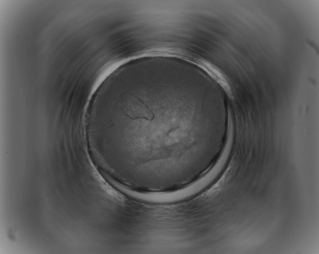 X0000091901192200709051357