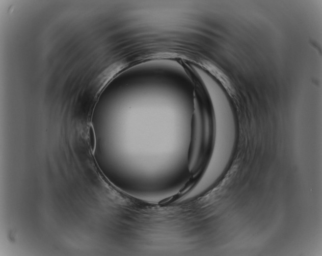 X0000091901193200709051357