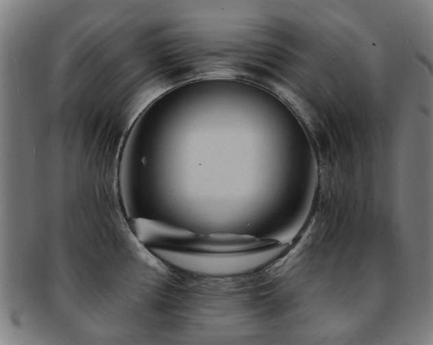 X0000091901194200709051357