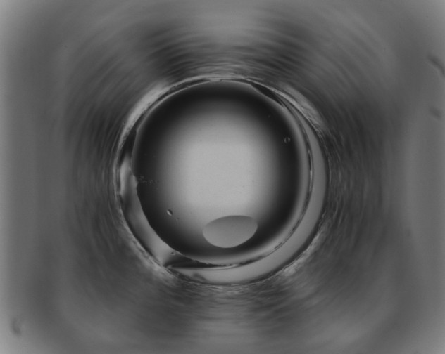 X0000091901196200709051357