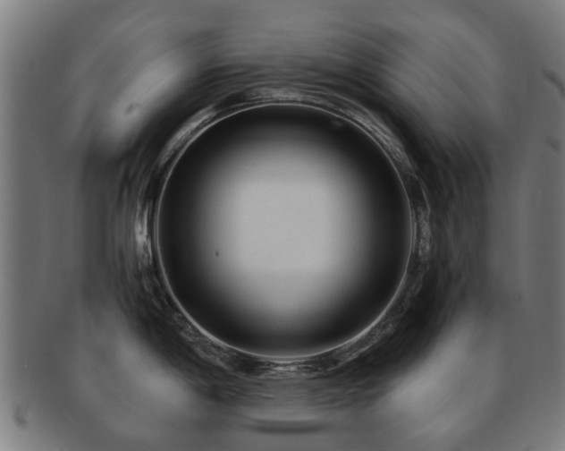 X0000091901198200709051357