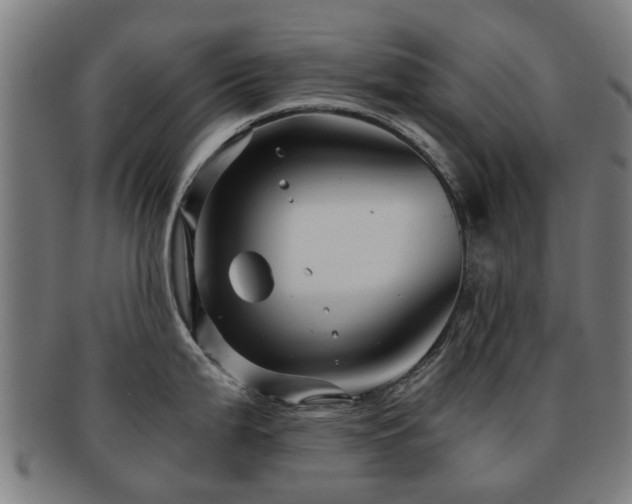 X0000091901199200709051357