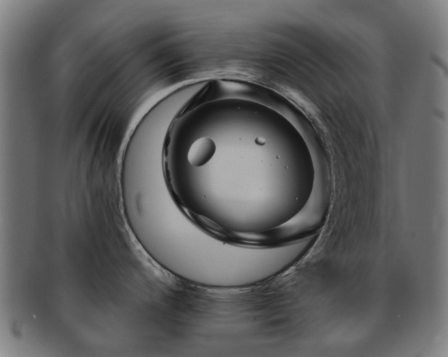 X0000091901200200709051357