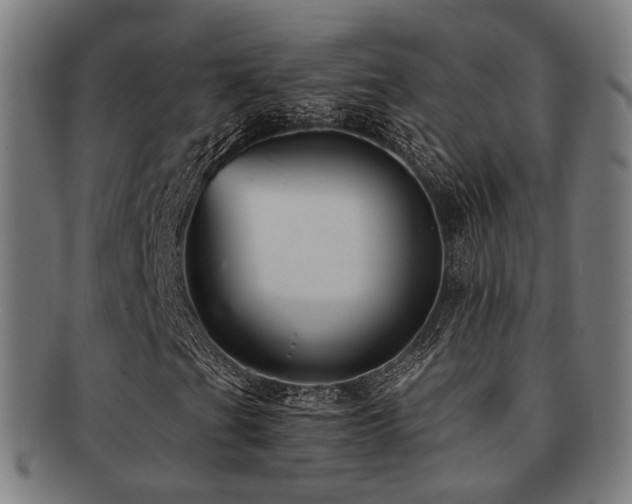 X0000091901201200709051356