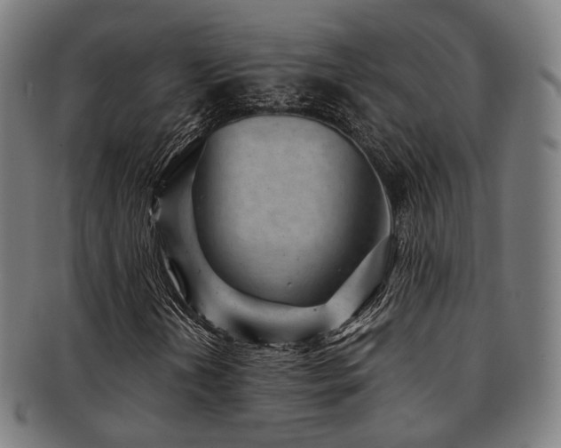X0000091901202200709051356