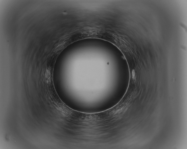 X0000091901203200709051356