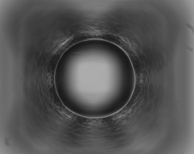 X0000091901205200709051356