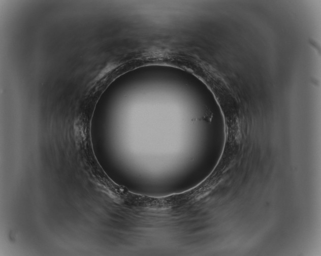 X0000091901206200709051356