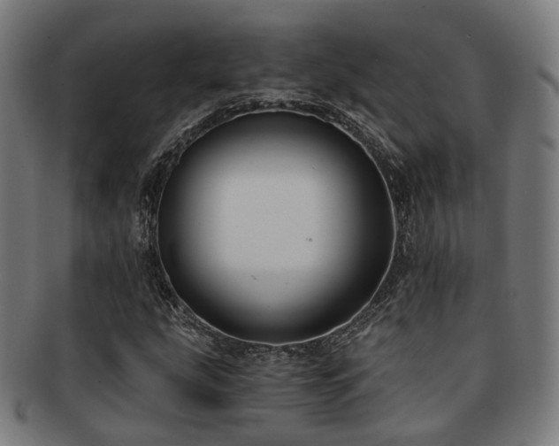 X0000091901207200709051356