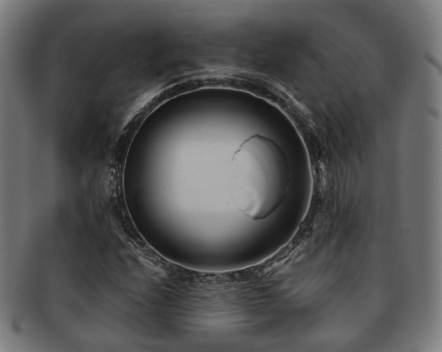 X0000091901208200709051356