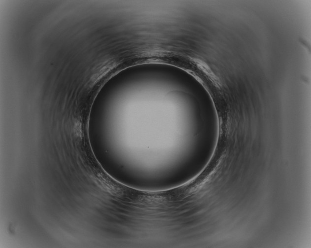 X0000091901209200709051356