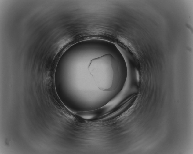 X0000091901210200709051356