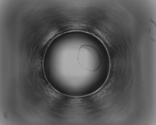 X0000091901211200709051356