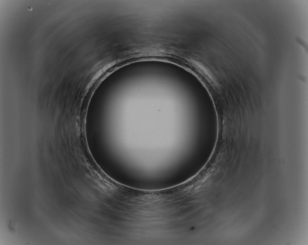 X0000091901212200709051356