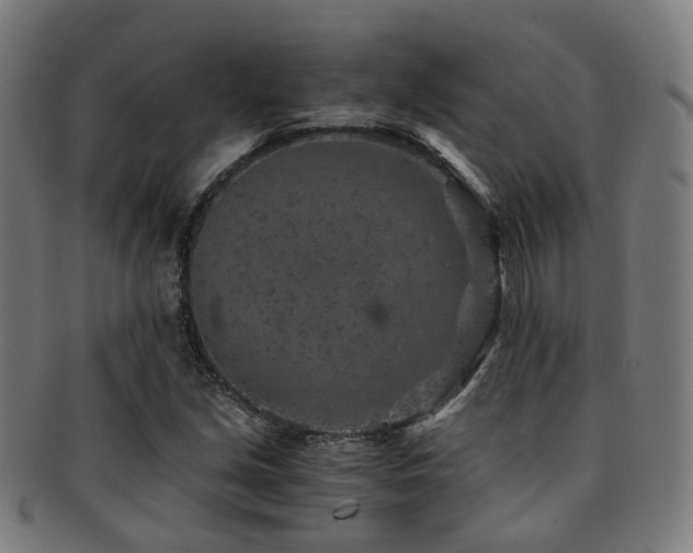X0000091901213200709051356