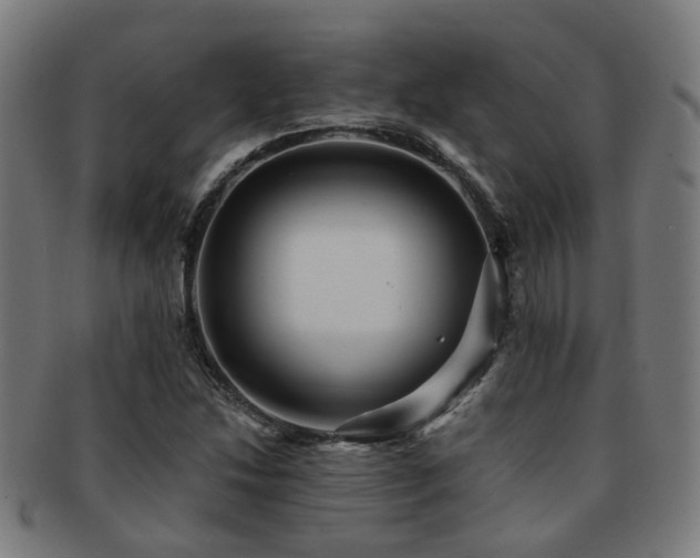 X0000091901214200709051356
