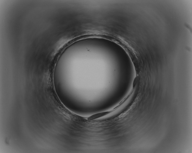 X0000091901215200709051356
