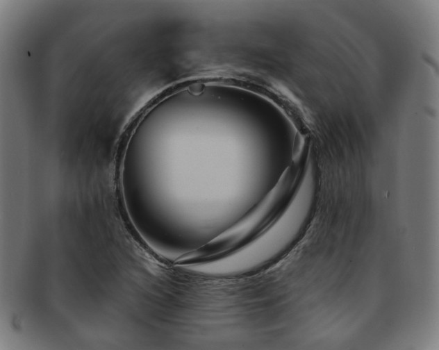 X0000091901216200709051356