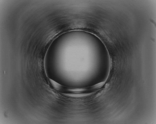 X0000091901217200709051356
