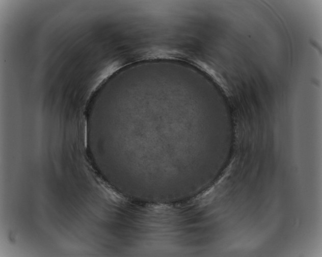 X0000091901219200709051356