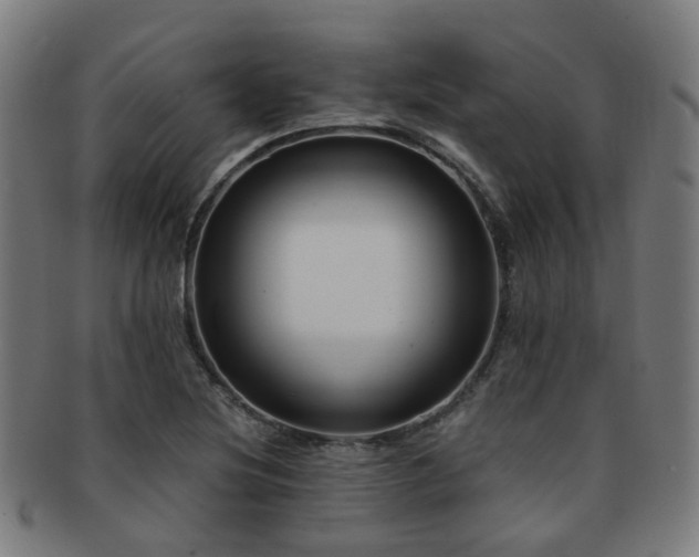 X0000091901220200709051356