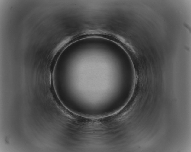 X0000091901221200709051356
