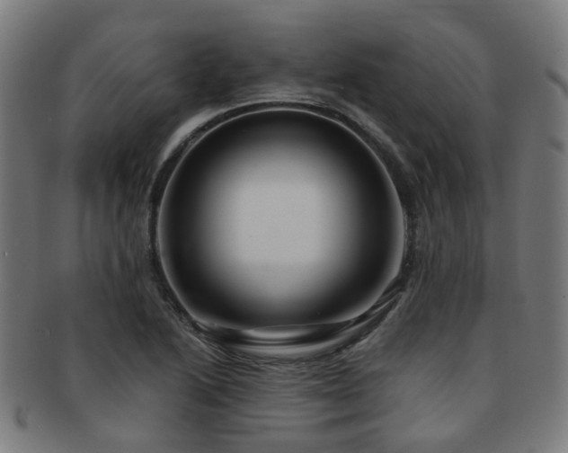 X0000091901222200709051356