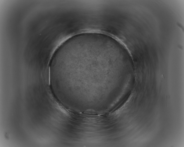 X0000091901223200709051356