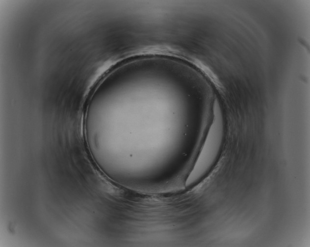 X0000091901224200709051356